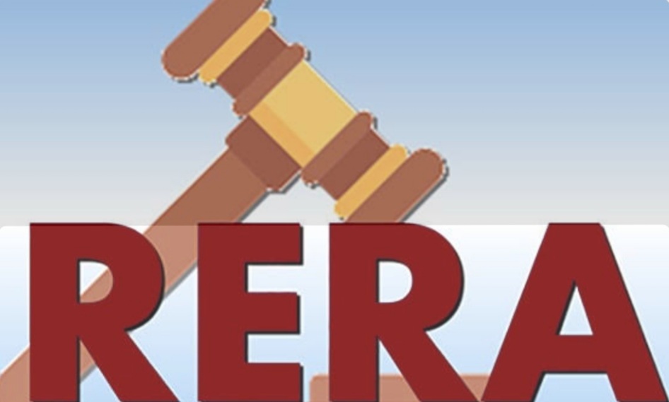 Screenshot_20260213-231128_Google